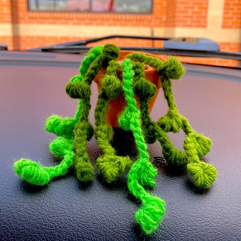 This is a crocheted string of pearls plant! Comes with pot as shown.